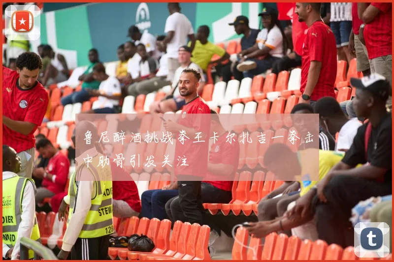 鲁尼醉酒挑战拳王卡尔扎吉一拳击中肋骨引发关注