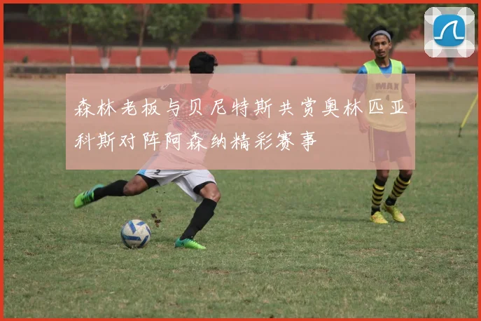 森林老板与贝尼特斯共赏奥林匹亚科斯对阵阿森纳精彩赛事