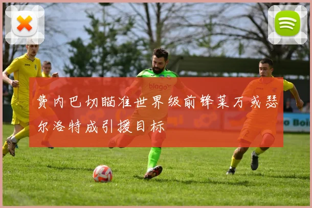 费内巴切瞄准世界级前锋莱万或瑟尔洛特成引援目标